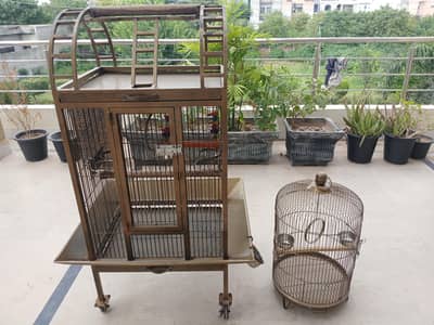 Cages for parrot