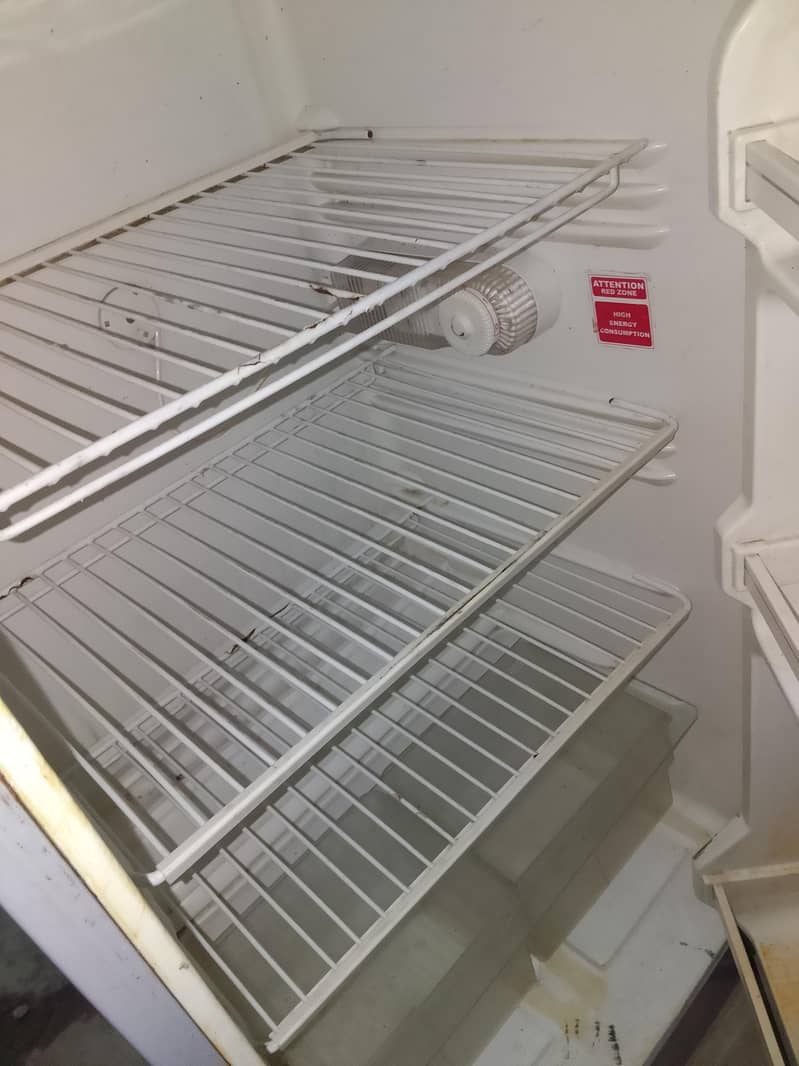 fridge 6