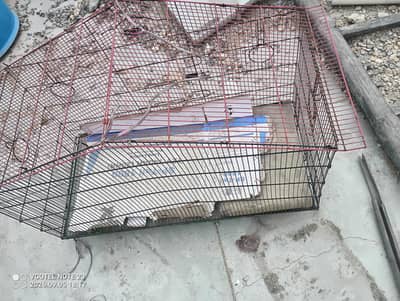 cage for birds