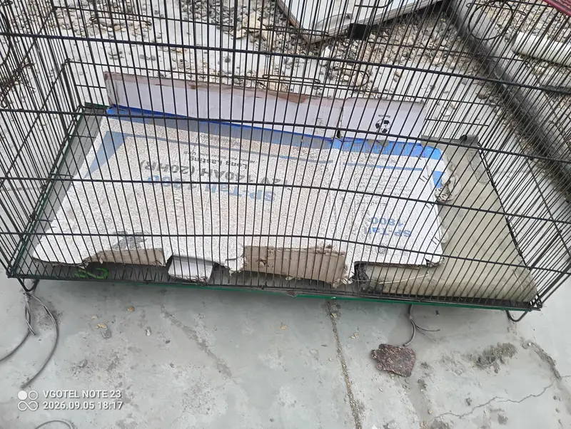 cage for birds — photo 2