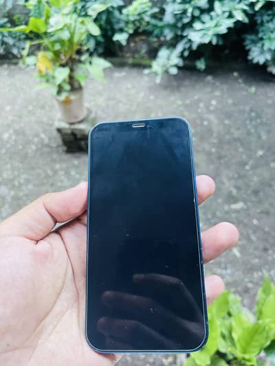 Apple iPhone 12
