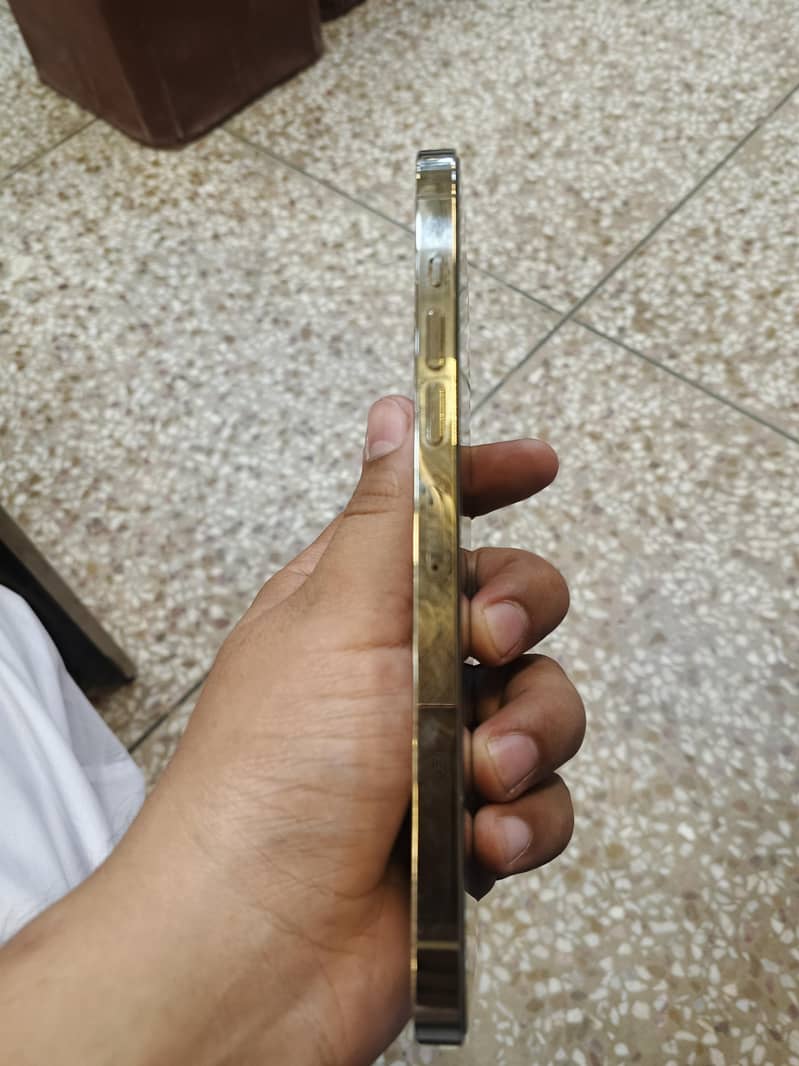 Apple iPhone 13 Pro Max 0