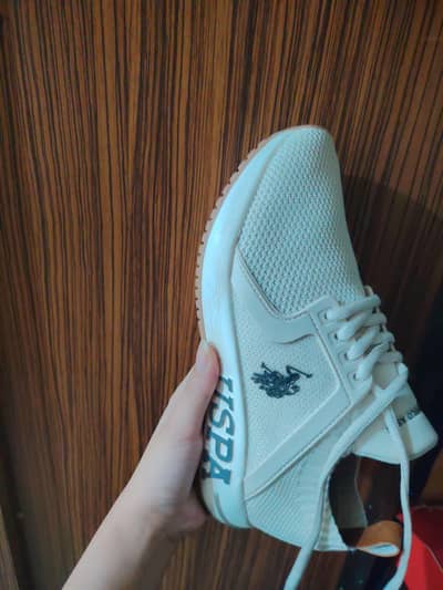 US Polo Assn Original Branded Shoes – Size 7 – Brand New