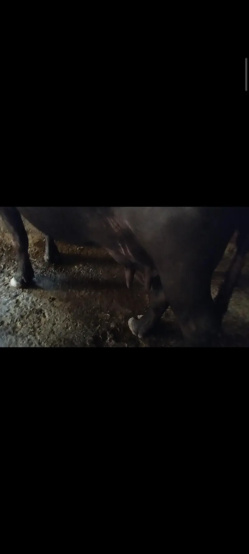 bans 12din ki soi hy dod 12kilo hy — photo 3
