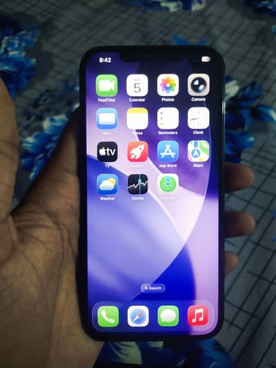 Apple iPhone 12 Pro Max