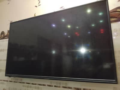 led 55