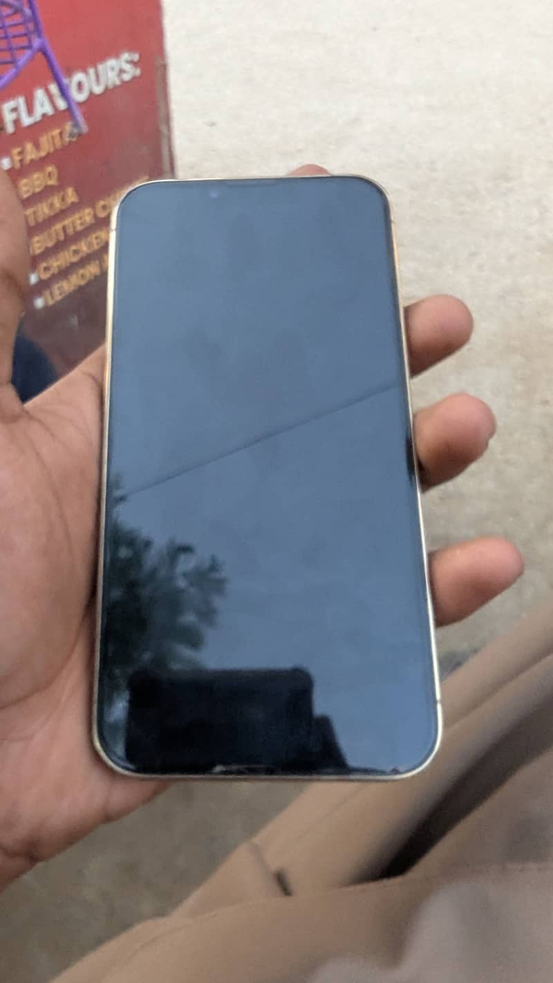 Apple iPhone 13 Pro 4