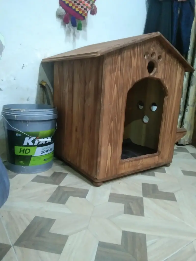 cat house — photo 2