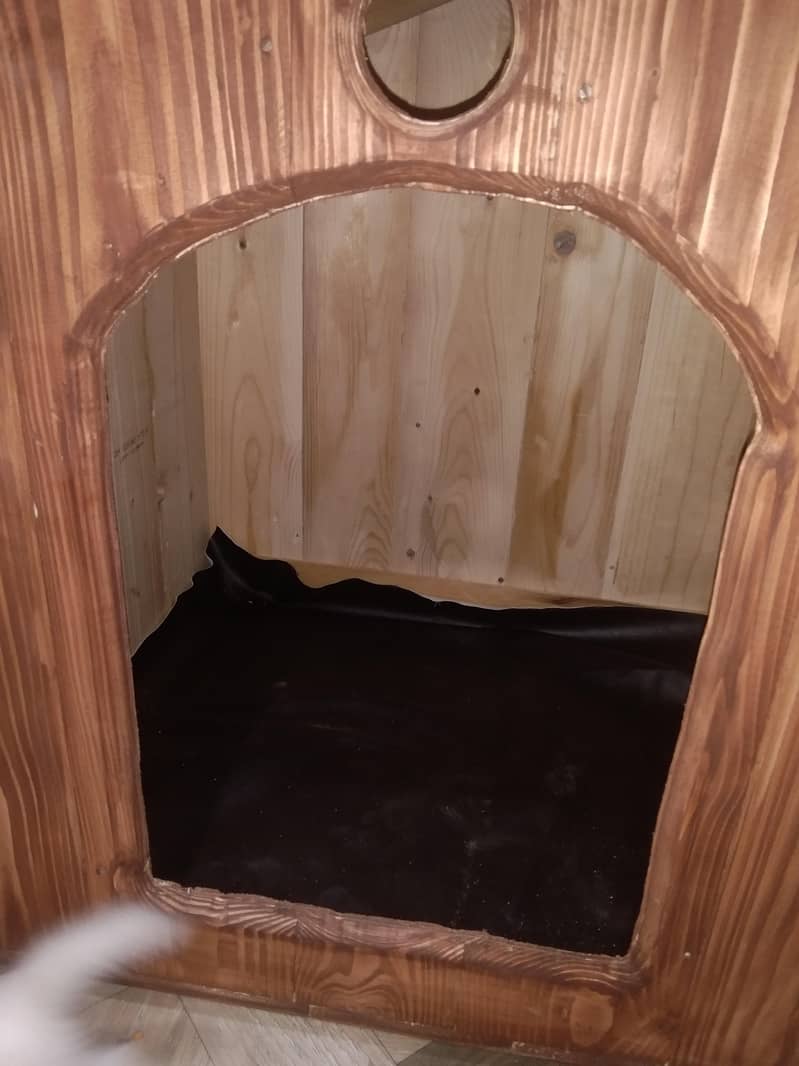cat house 3