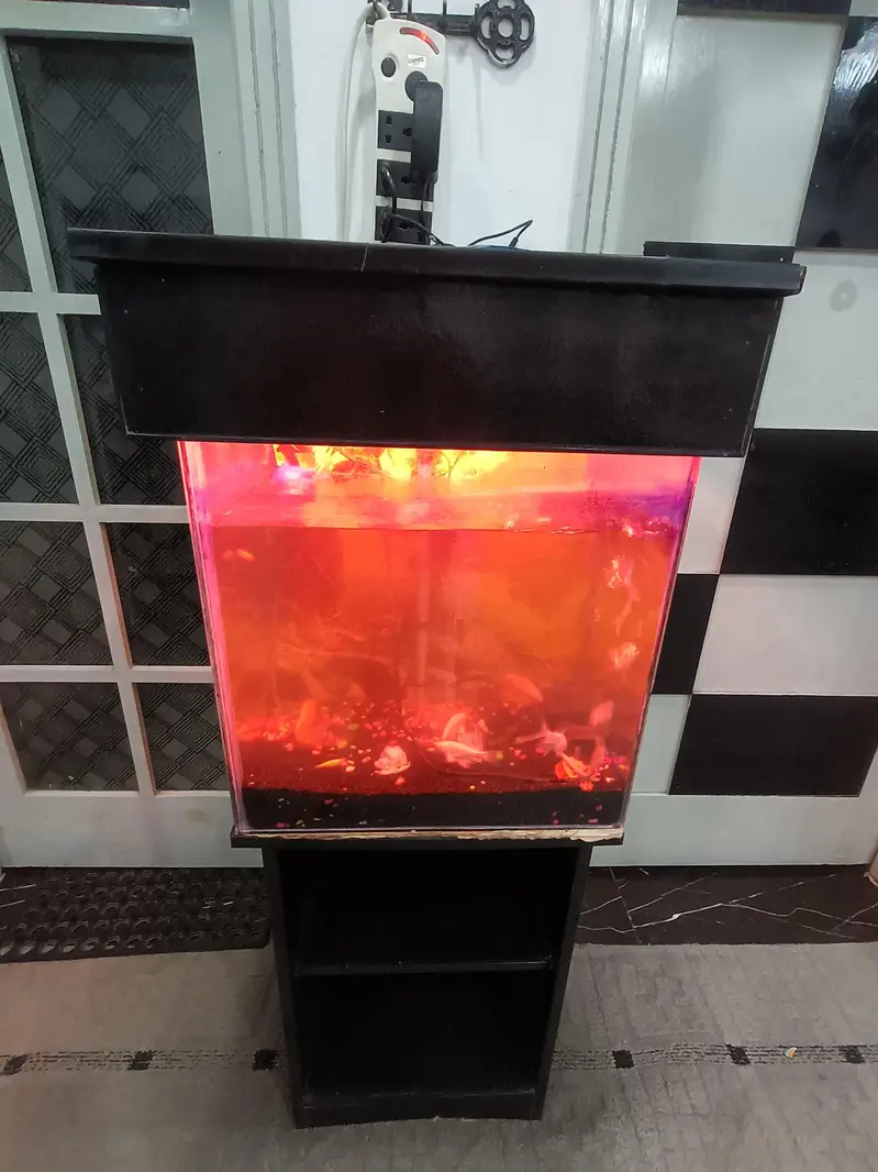 Aquirium with Fishes + Stand + Food — photo 5