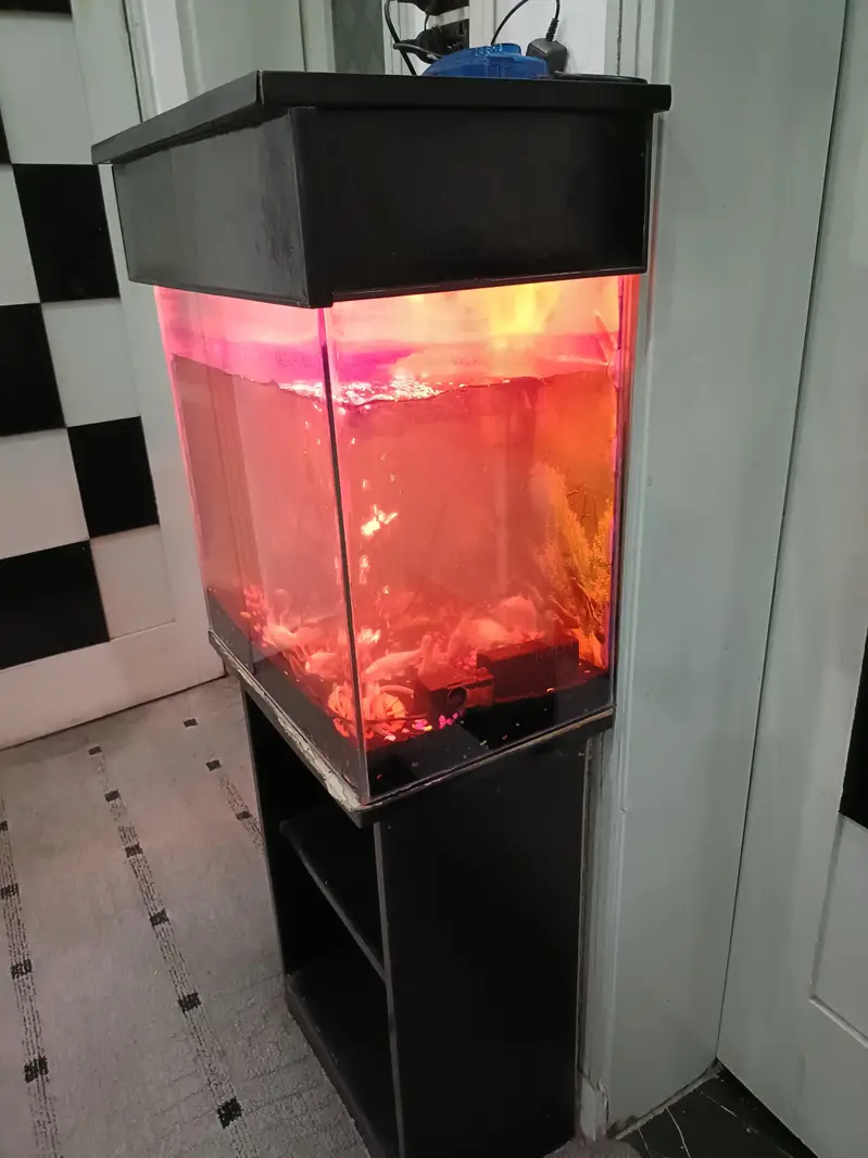 Aquirium with Fishes + Stand + Food — photo 6