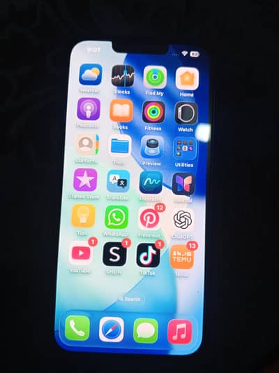 Apple iPhone 13