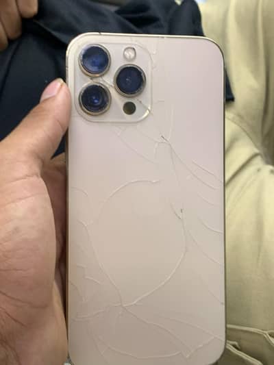 Apple iPhone 13 Pro Max