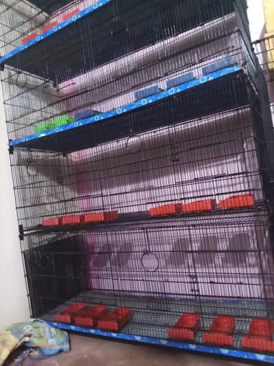 Umar / Master and Zarar Cage for Love Birds, Cocktail, Java, Finches
