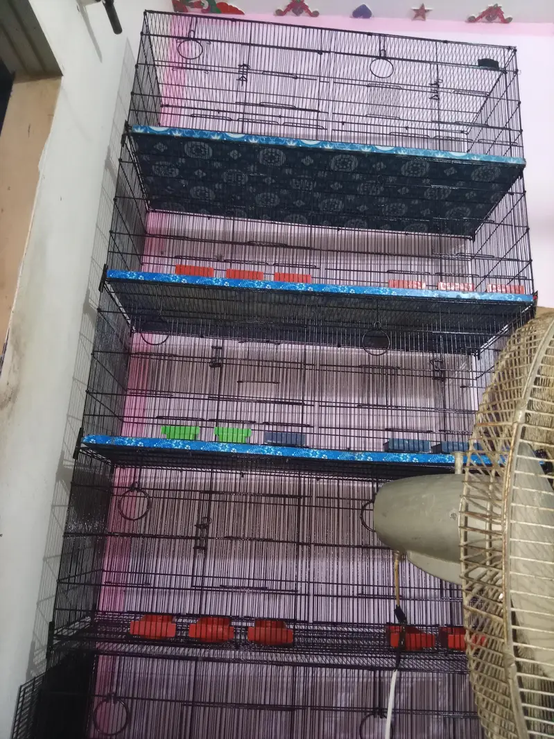 Umar / Master and Zarar Cage for Love Birds, Cocktail, Java, Finches — photo 3