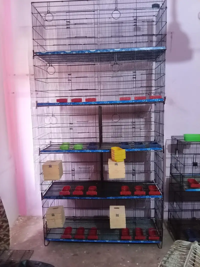 Umar / Master and Zarar Cage for Love Birds, Cocktail, Java, Finches — photo 7