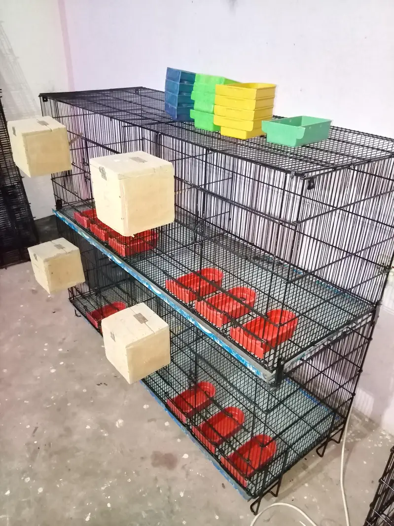 Umar / Master and Zarar Cage for Love Birds, Cocktail, Java, Finches — photo 9