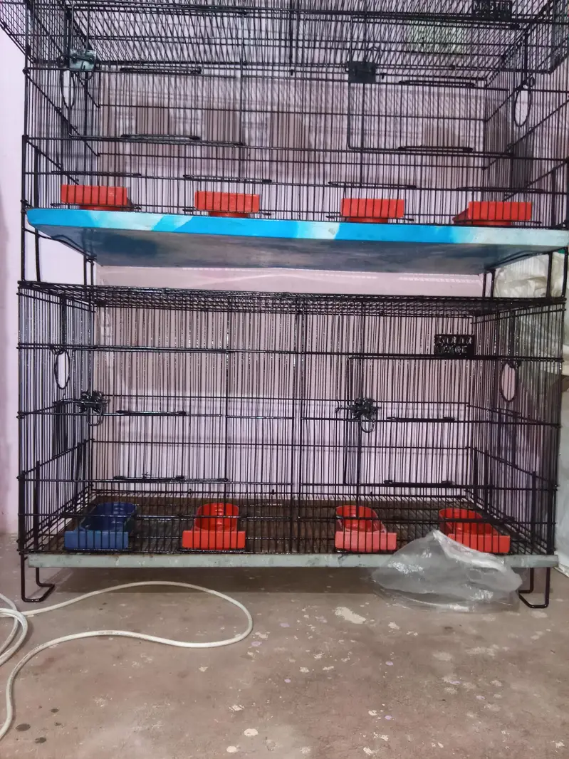 Umar / Master and Zarar Cage for Love Birds, Cocktail, Java, Finches — photo 10
