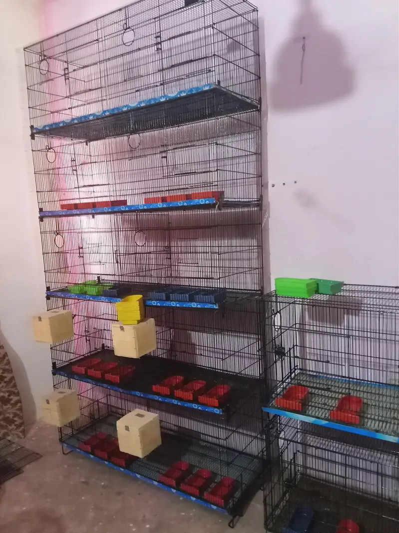 Umar / Master and Zarar Cage for Love Birds, Cocktail, Java, Finches — photo 11