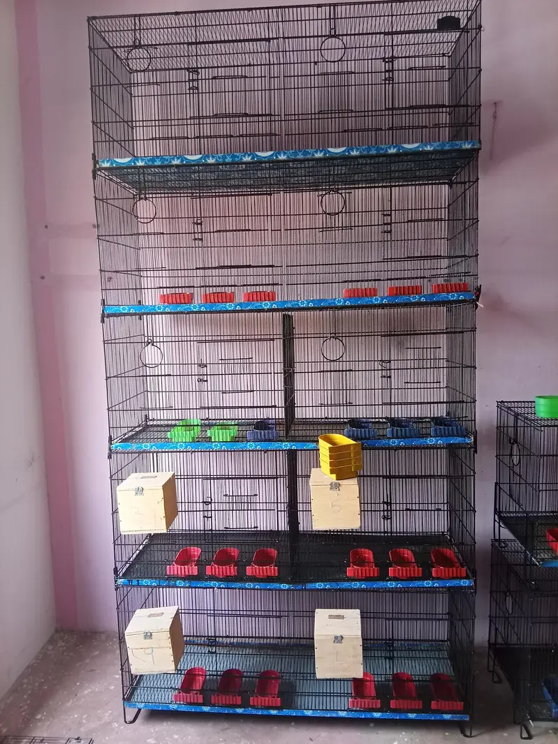 Umar / Master and Zarar Cage for Love Birds, Cocktail, Java, Finches — photo 12