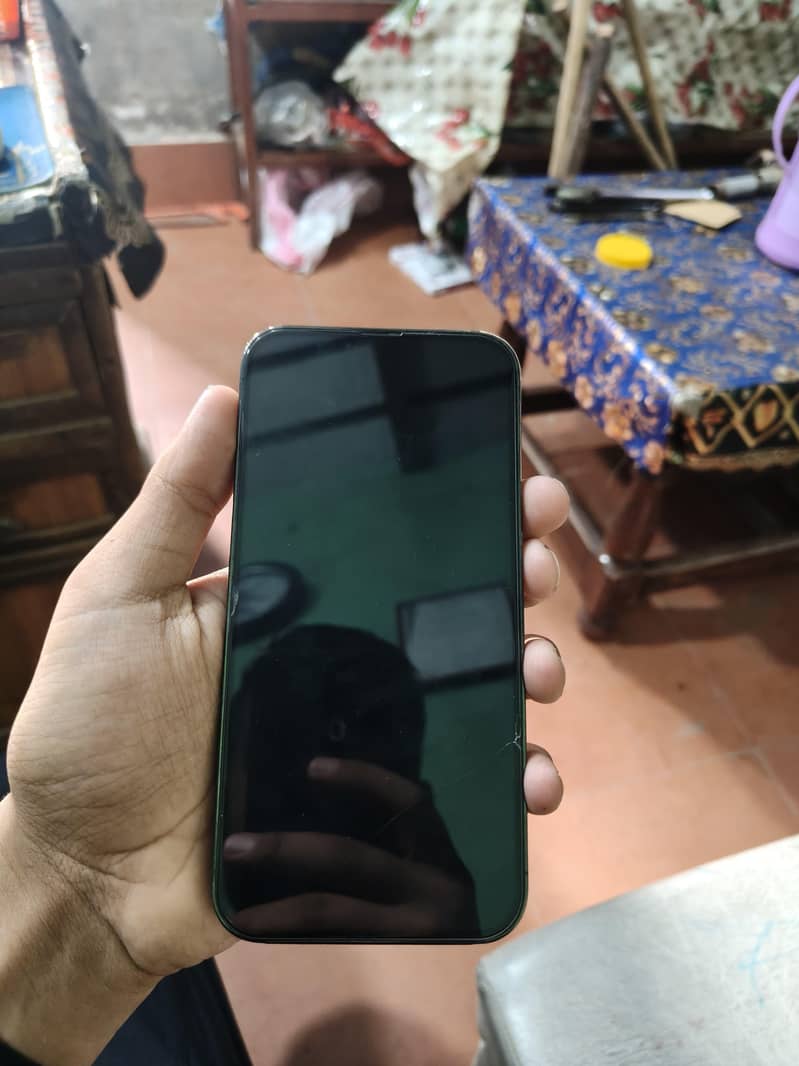 Apple iPhone 13 Pro Max 1