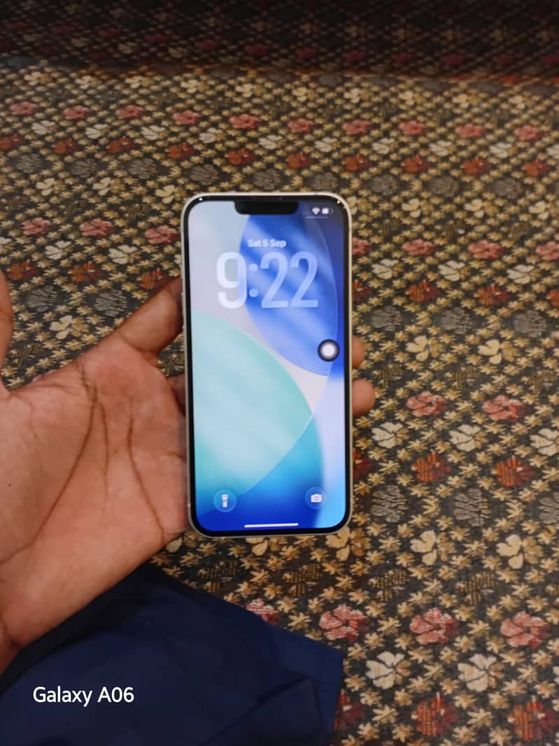 Apple iPhone 13 0