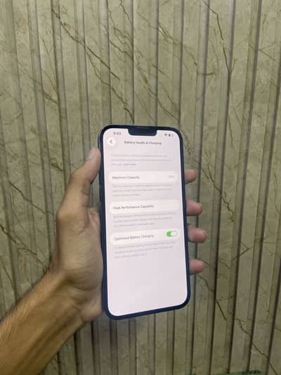 Apple iPhone 13 Pro Max