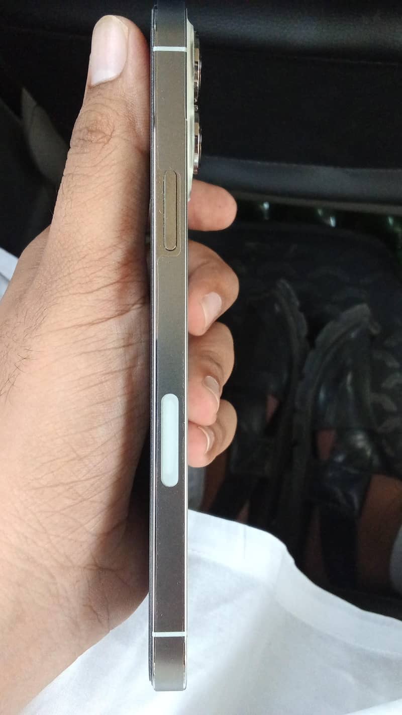 Apple iPhone 13 Pro Max 2