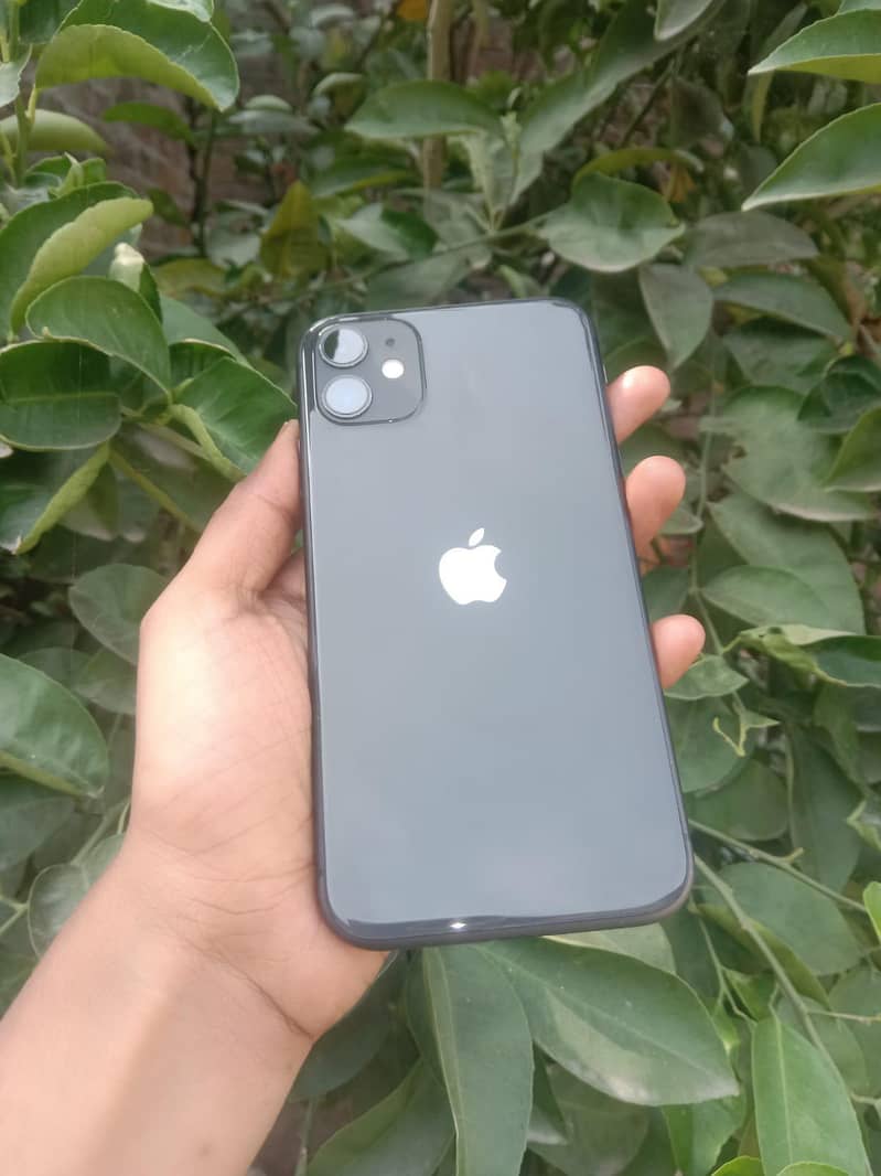 Apple iPhone 11 1