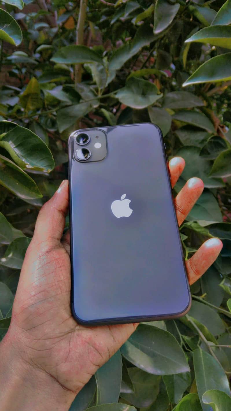 Apple iPhone 11 3