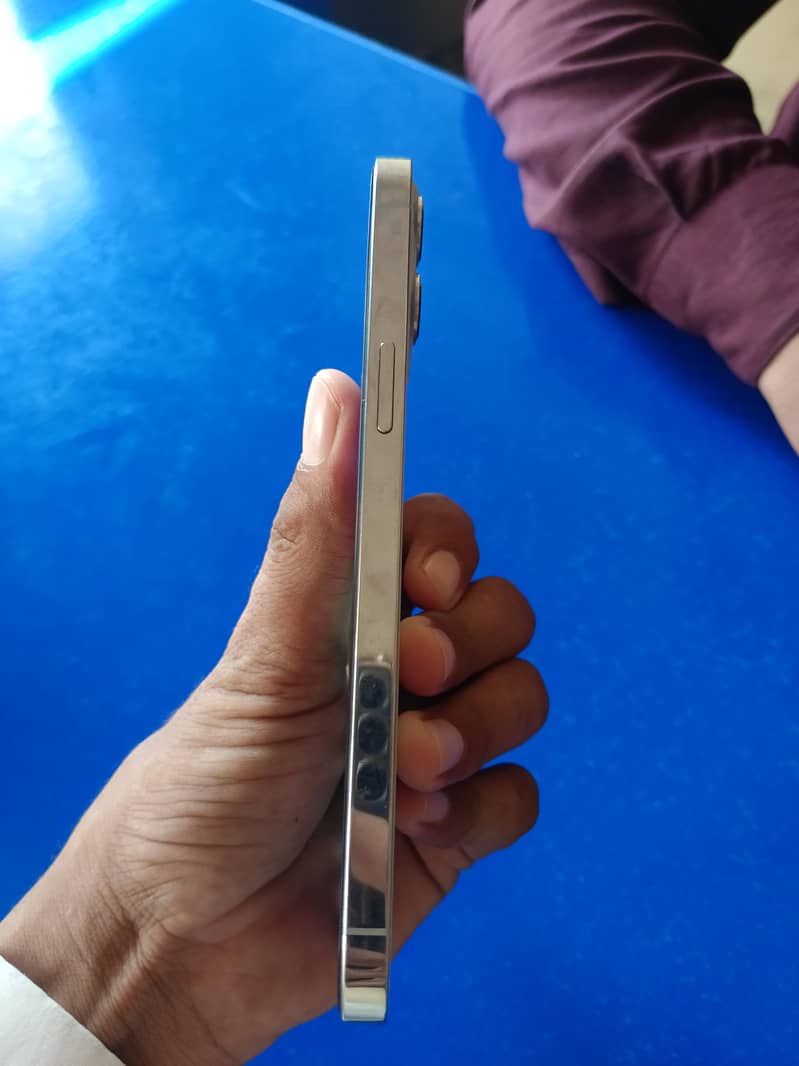 Apple iPhone 12 Pro Max 1