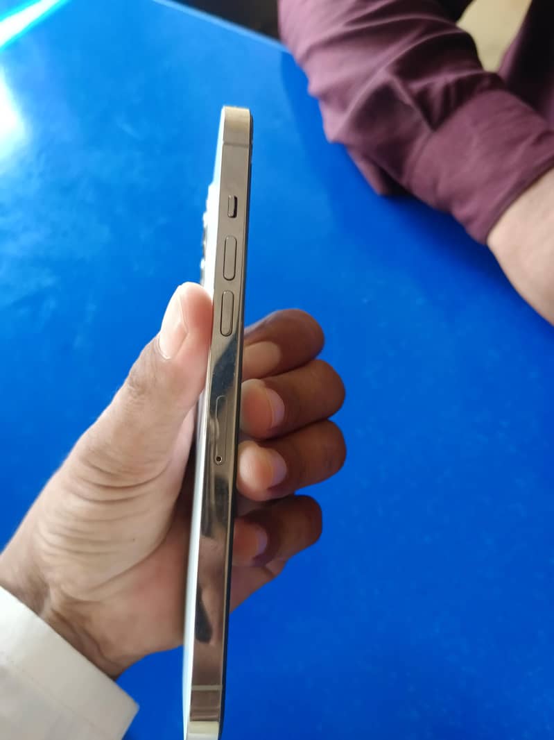 Apple iPhone 12 Pro Max 5
