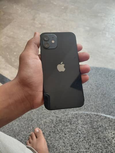 49500