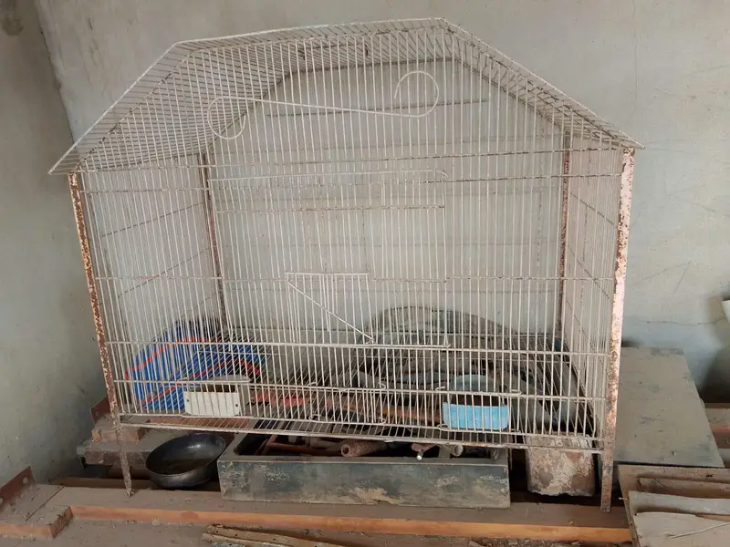 used bird cages — photo 5