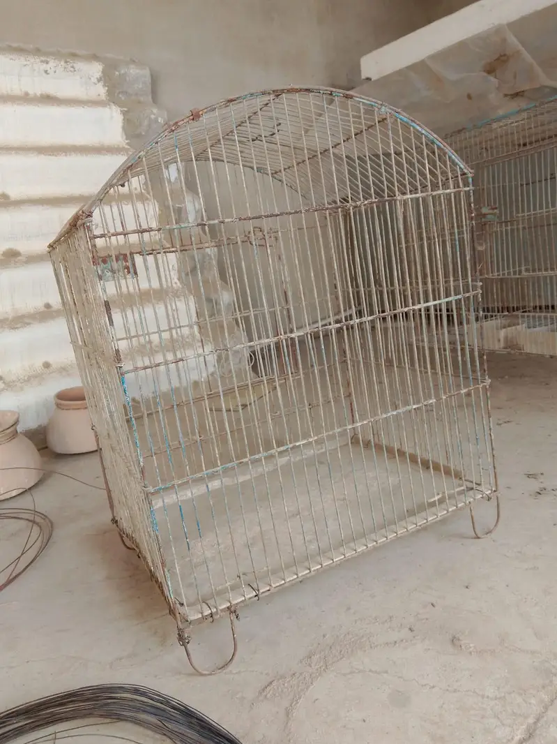 used bird cages — photo 6