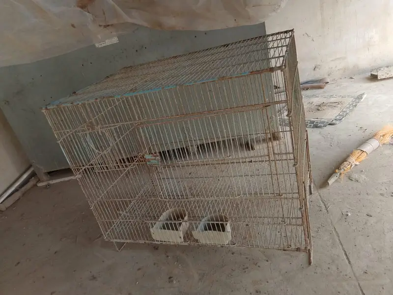 used bird cages — photo 7