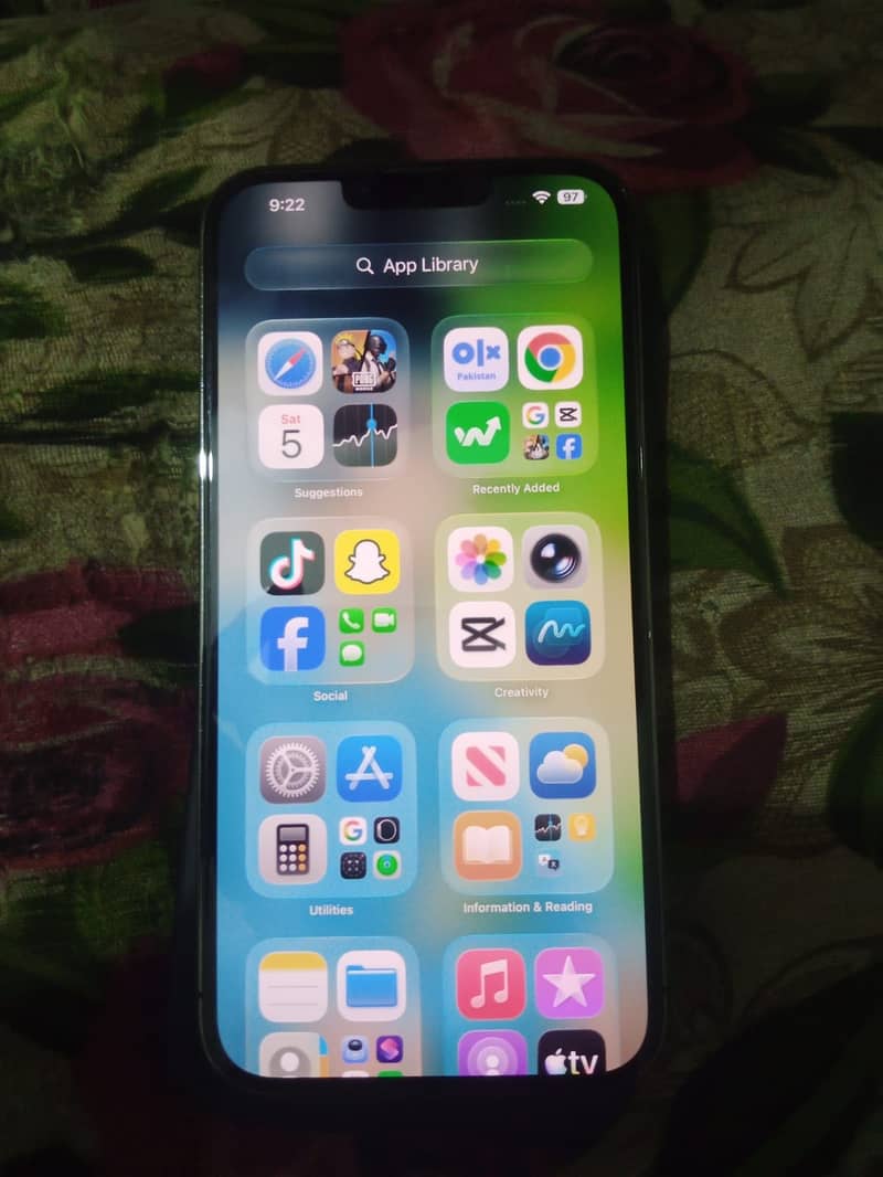 Apple iPhone 13 Pro Max 1