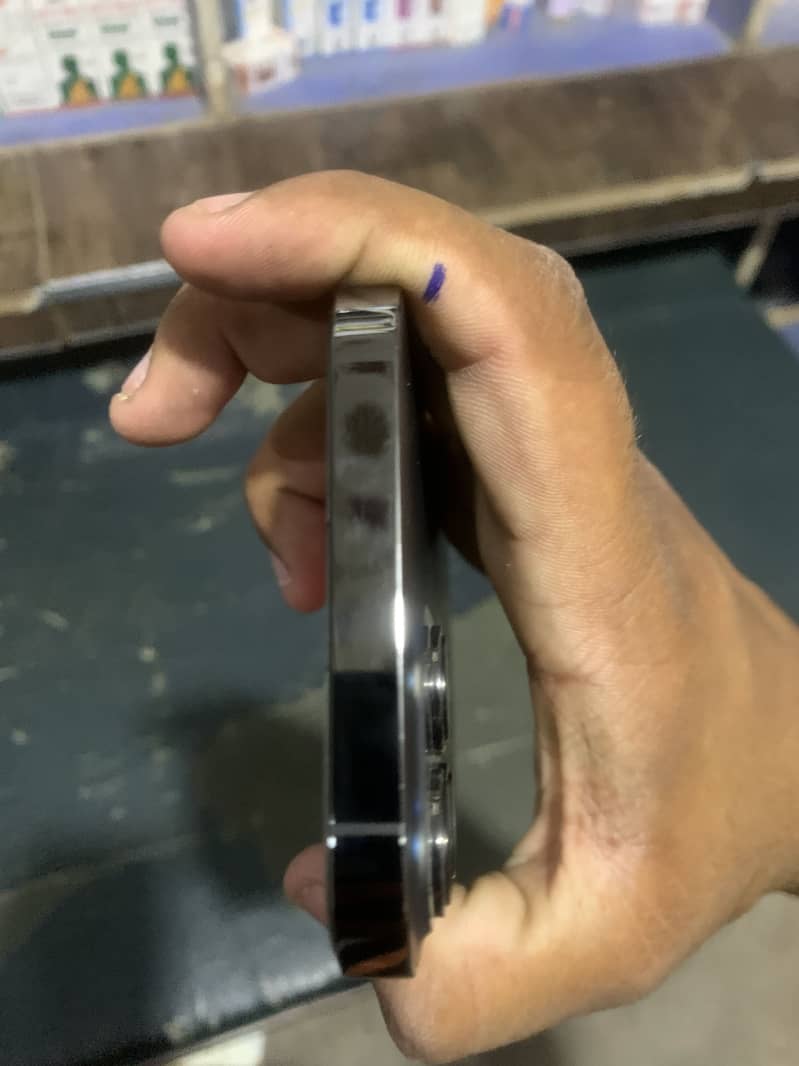Apple iPhone 13 Pro Max 1