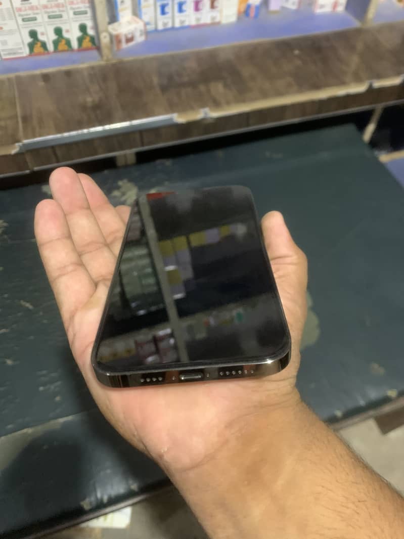 Apple iPhone 13 Pro Max 2