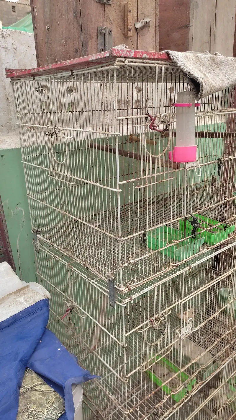 folding cages & breeding boxes — photo 2