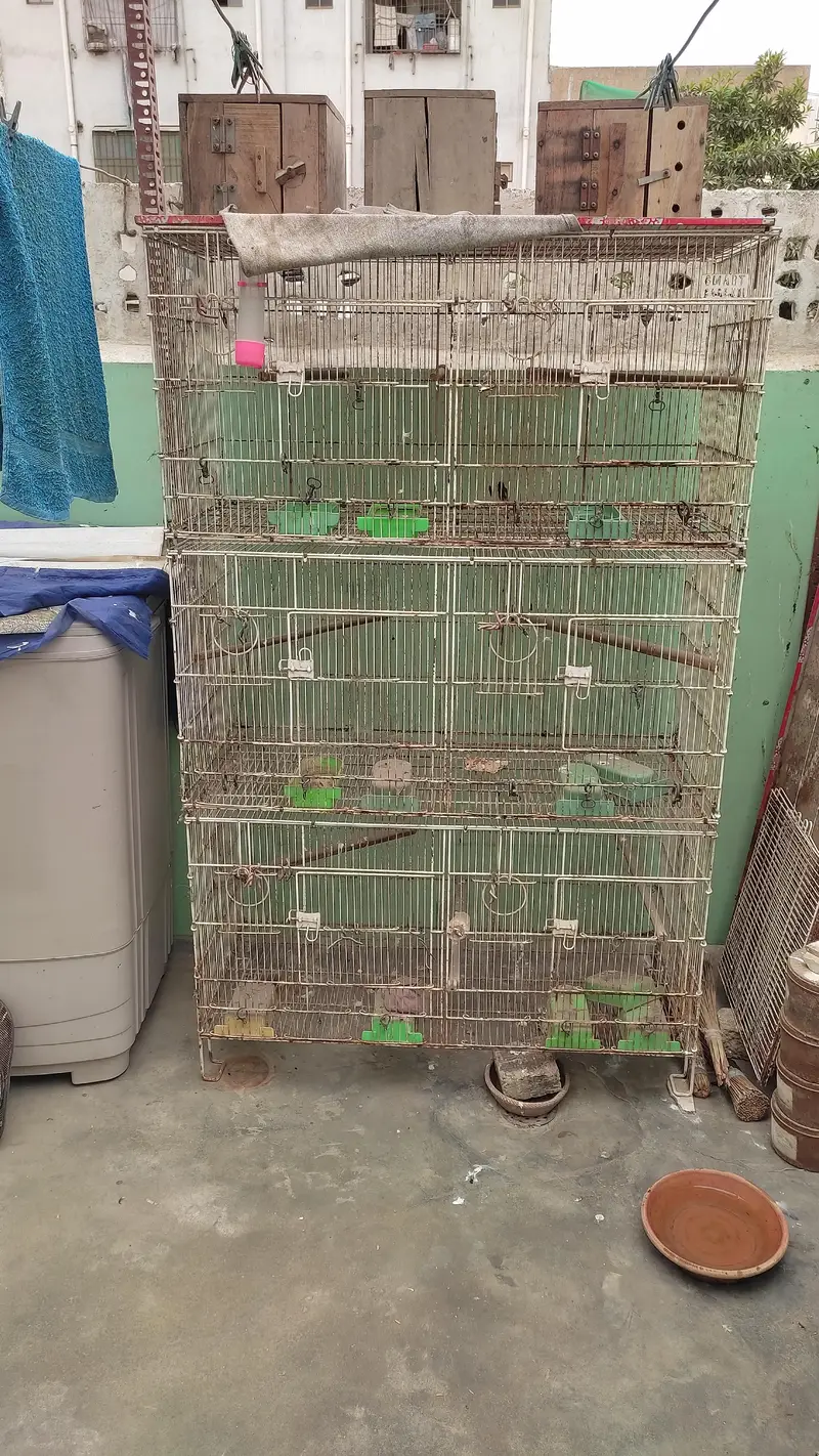 folding cages & breeding boxes — photo 3