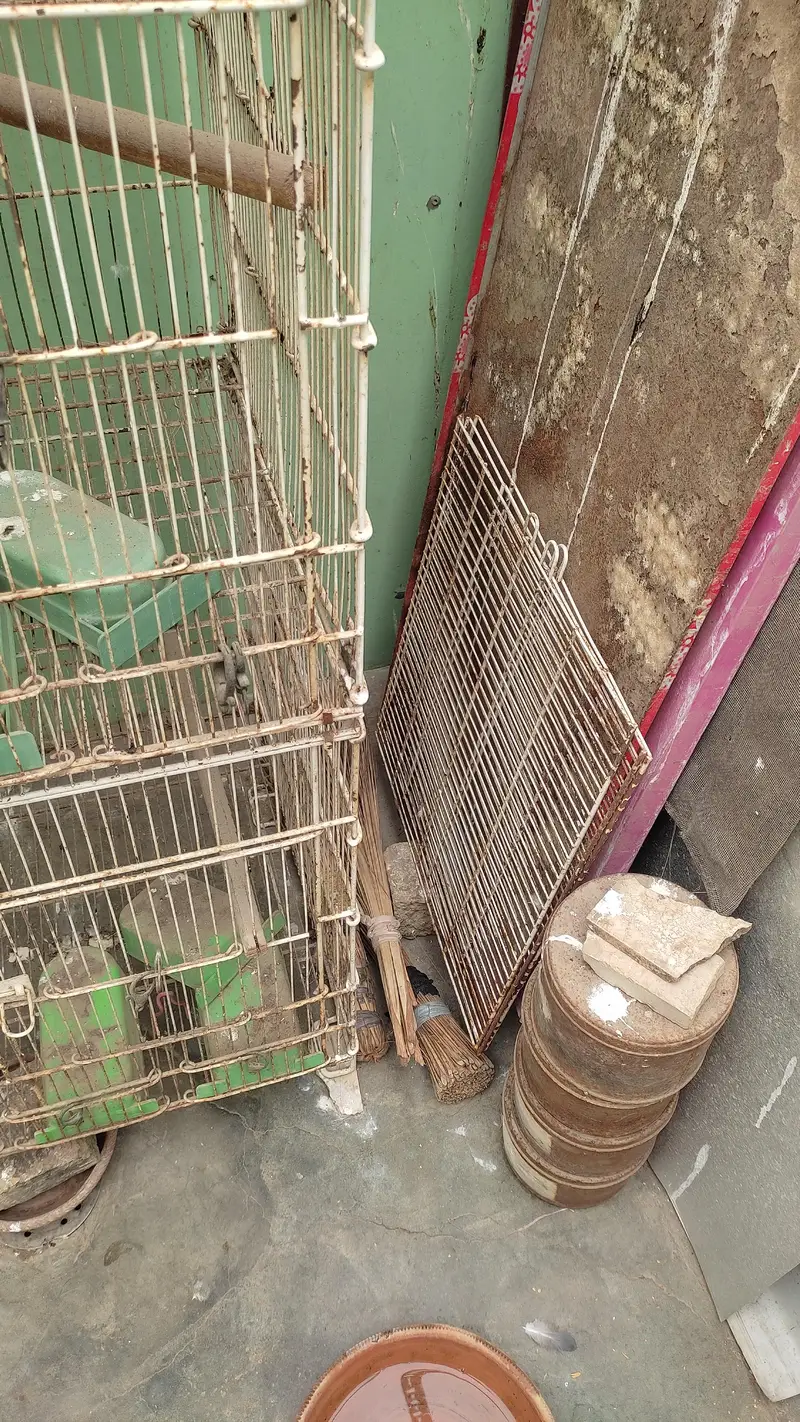 folding cages & breeding boxes — photo 4