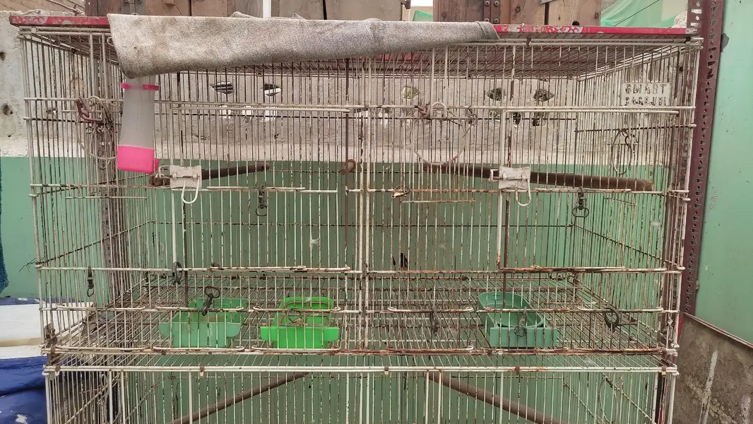folding cages & breeding boxes — photo 5