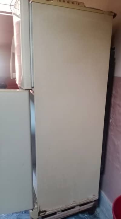 Prezer 03082186290