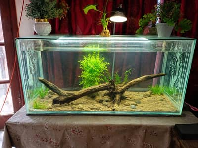 3fit aquarium 2 fit hight 2.5 fir widget 8mm glass all ok no issue