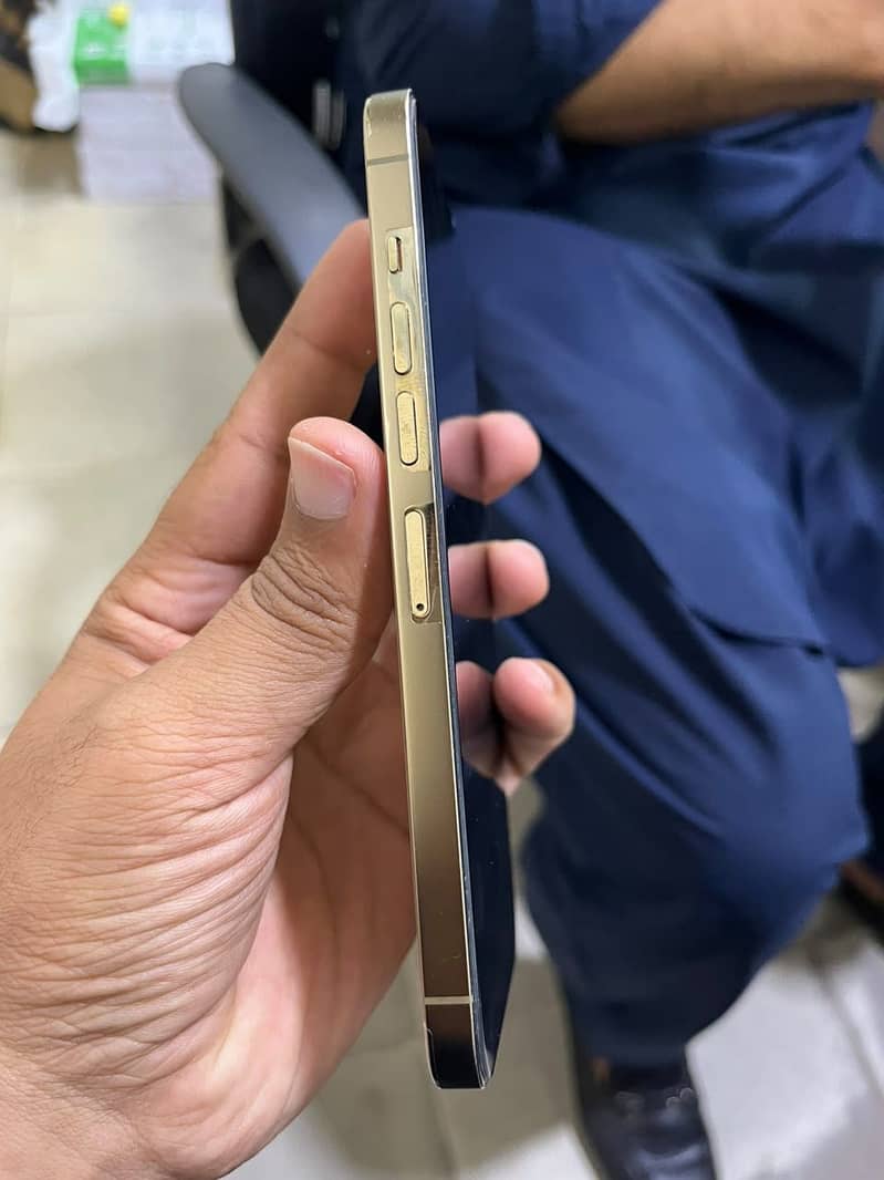 Apple iPhone 13 Pro Max 4