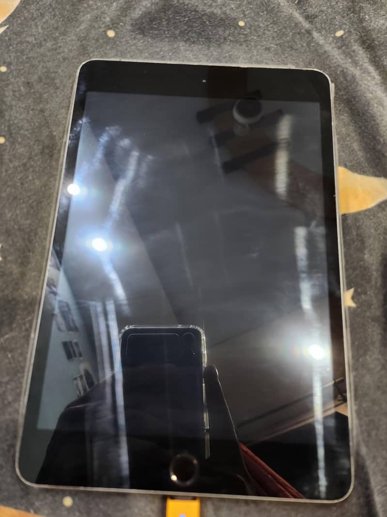 Apple iPad Mini 5 [Cellular] 1