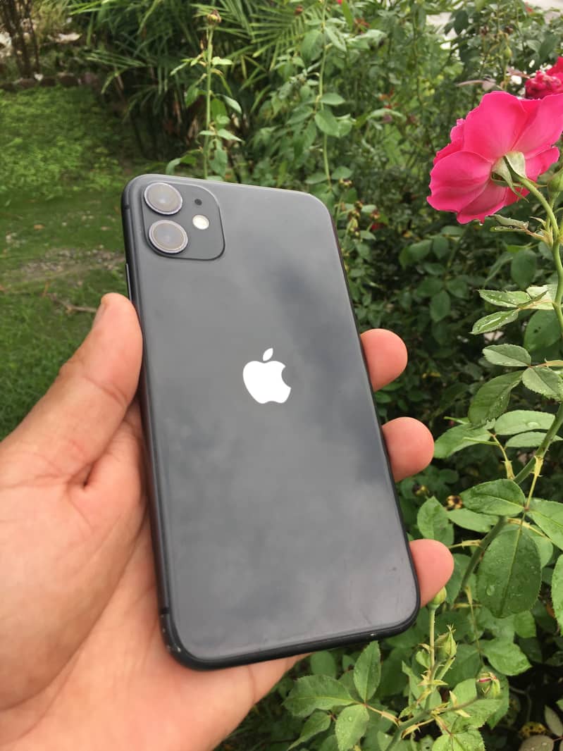 Apple iPhone 11 1