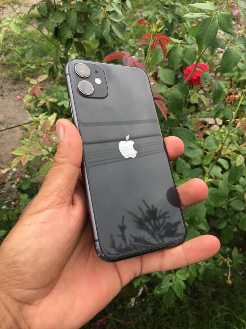 Apple iPhone 11 10