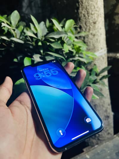 Apple iPhone 11 Pro